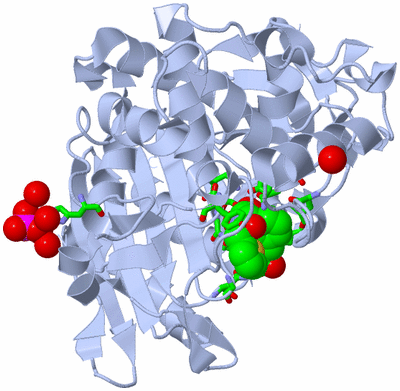 Image Biol. Unit 1 - sites