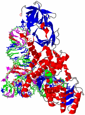 Image Asym./Biol. Unit