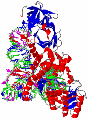 Image Asym./Biol. Unit - sites