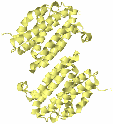 Image Biological Unit 3