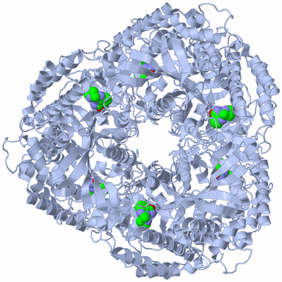 Image Biological Unit 1