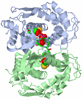 Image Asym./Biol. Unit - sites