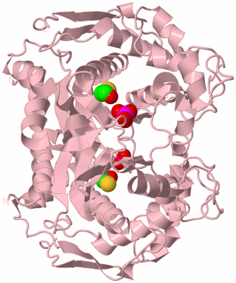 Image Biological Unit 2