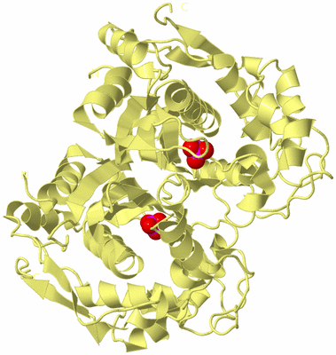 Image Biological Unit 3