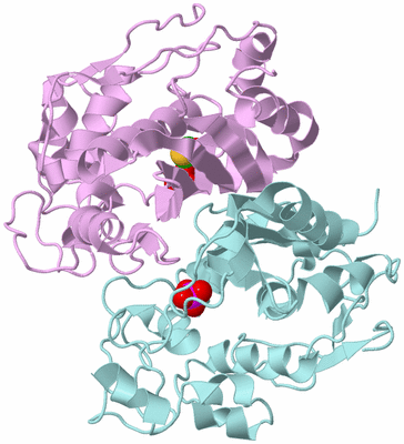 Image Biological Unit 4