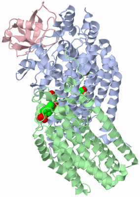 Image Biological Unit 1