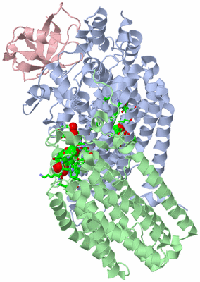 Image Biol. Unit 1 - sites