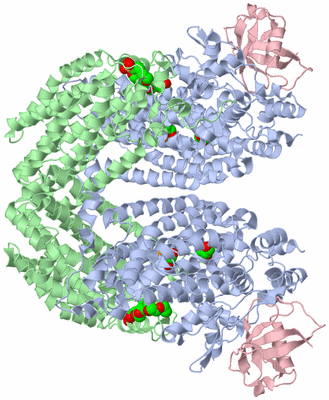 Image Biological Unit 2