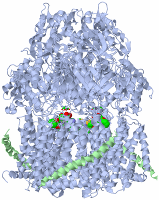 Image Biol. Unit 1 - sites