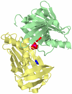 Image Biological Unit 2