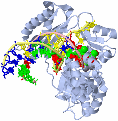 Image Biological Unit 1