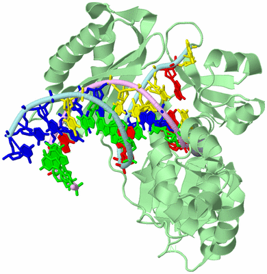 Image Biological Unit 2