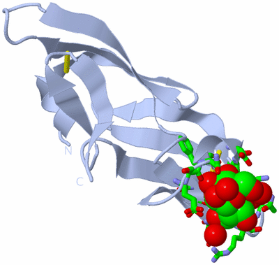 Image Biol. Unit 1 - sites