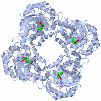 Image Biological Unit 1