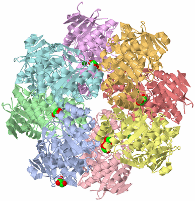 Image Asym./Biol. Unit