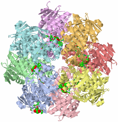 Image Asym./Biol. Unit - sites