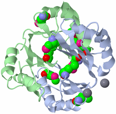 Image Asym./Biol. Unit