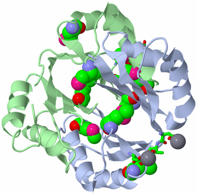 Image Asym./Biol. Unit - sites