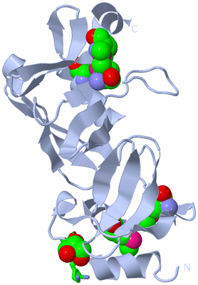 Image Biol. Unit 1 - sites