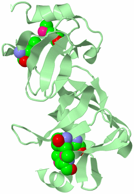 Image Biological Unit 2