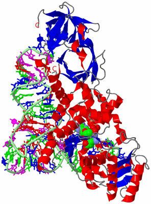 Image Asym./Biol. Unit