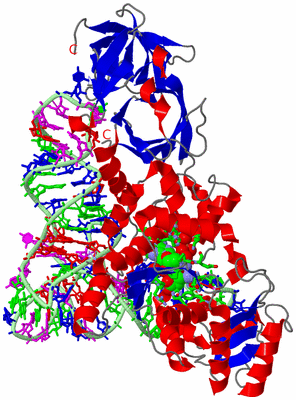 Image Asym./Biol. Unit - sites