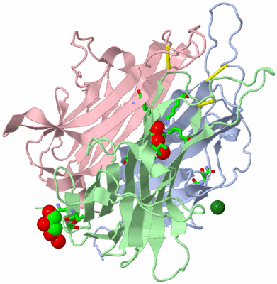 Image Asym./Biol. Unit - sites