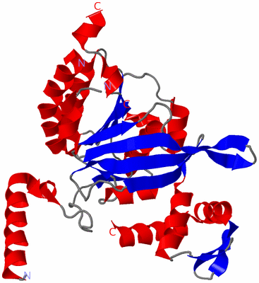 Image Asym./Biol. Unit