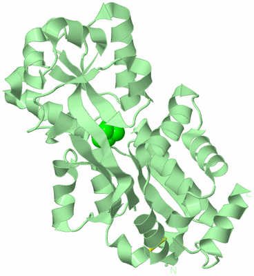 Image Biological Unit 2