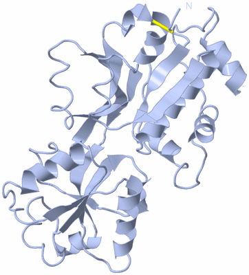 Image Biological Unit 1