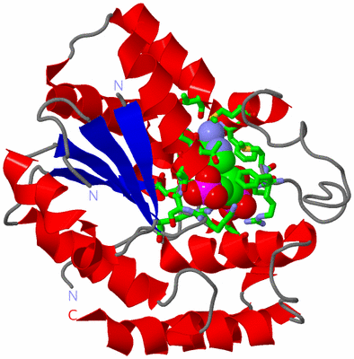 Image Asym./Biol. Unit - sites