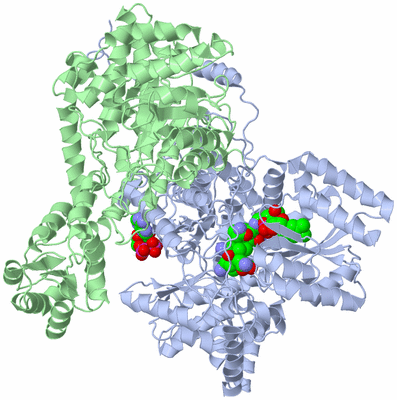 Image Biological Unit 1