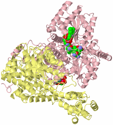 Image Biological Unit 2