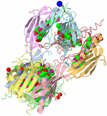 Image Asym./Biol. Unit - sites