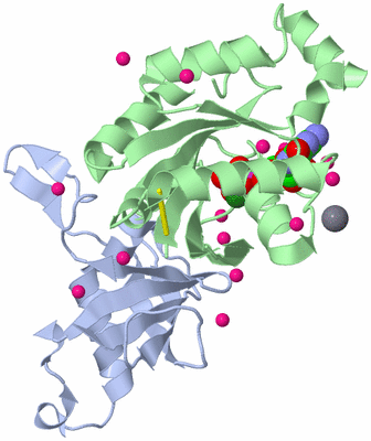 Image Biological Unit 1