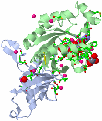 Image Biol. Unit 1 - sites