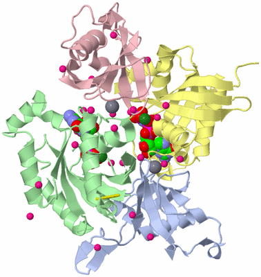 Image Biological Unit 3