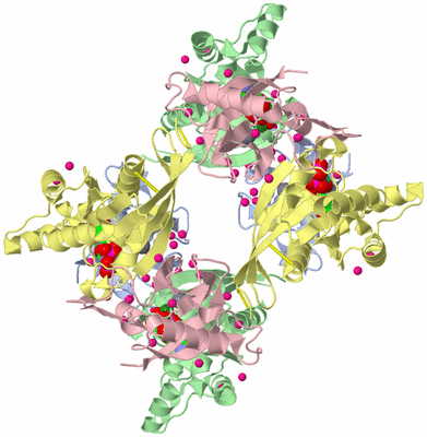 Image Biological Unit 4