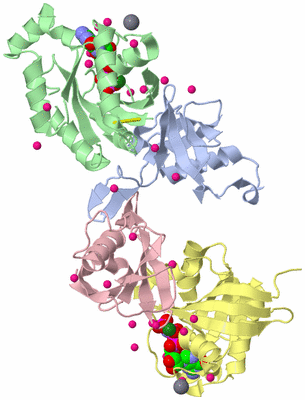 Image Biological Unit 5