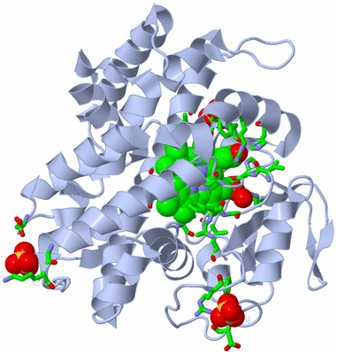 Image Biol. Unit 1 - sites