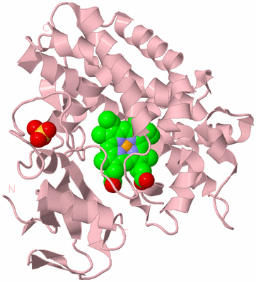 Image Biological Unit 3