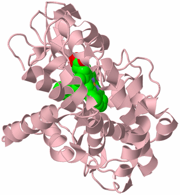 Image Biological Unit 3