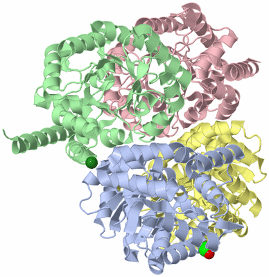 Image Asym./Biol. Unit