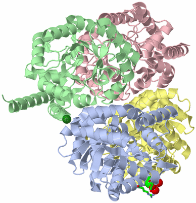 Image Asym./Biol. Unit - sites