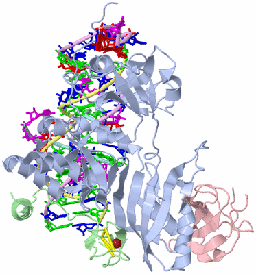 Image Asym./Biol. Unit