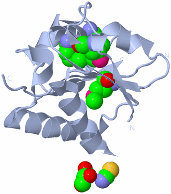 Image Biological Unit 1