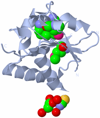 Image Biol. Unit 1 - sites