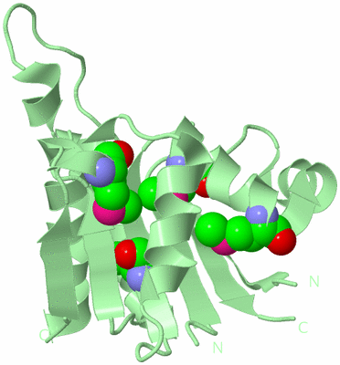 Image Biological Unit 2