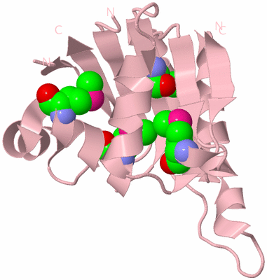 Image Biological Unit 3