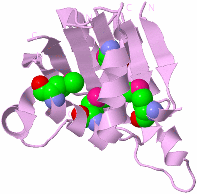 Image Biological Unit 5